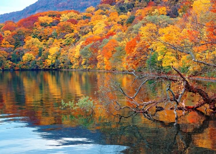 ■紅葉も必見！「十和田湖」「奥入瀬渓流」に近いホテル3選
