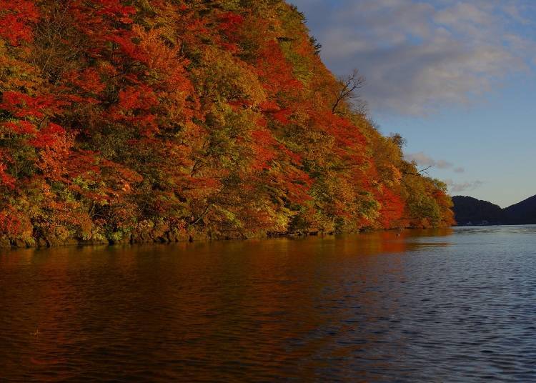 Enjoy champagne selected by sommeliers along Lake Towada!