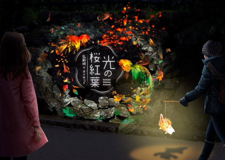 運用五感體驗！「弘前城×NAKED 光之櫻紅葉」