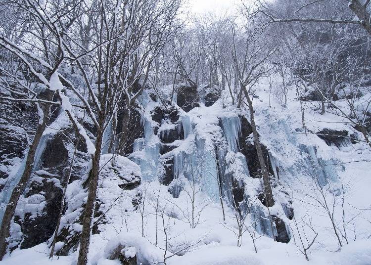 1. Oirase Gorge – Waterfalls Frozen in Time! (Aomori)