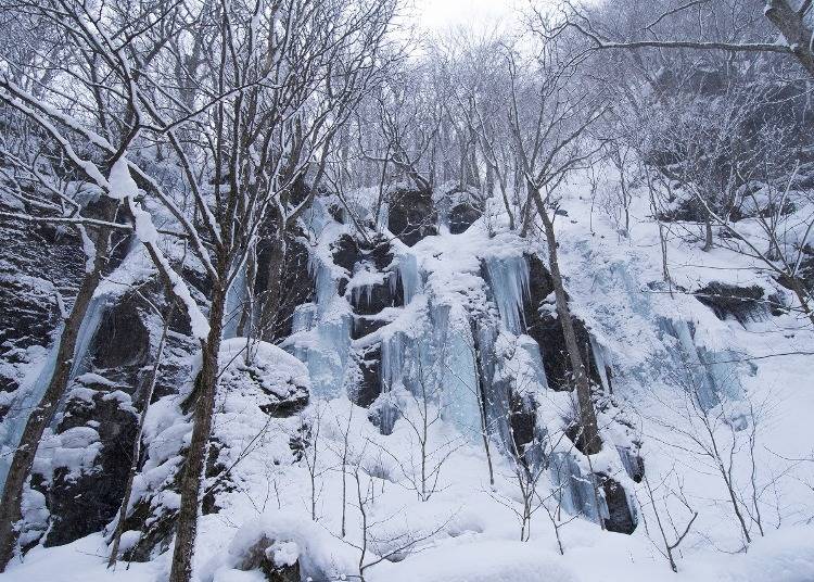 1：ダイナミックな氷瀑に魅入る「奥入瀬渓流」（青森）