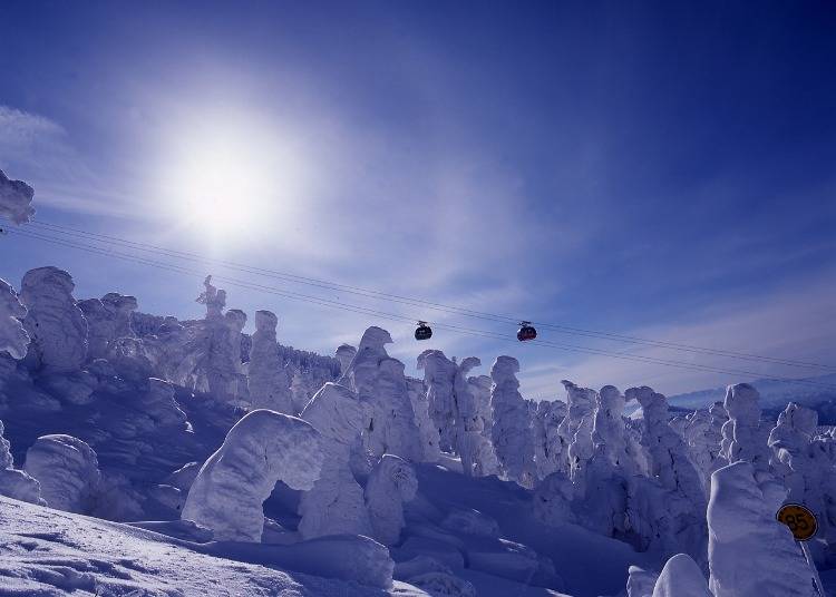 7：雪と氷の造形美「蔵王の樹氷」（宮城・山形）