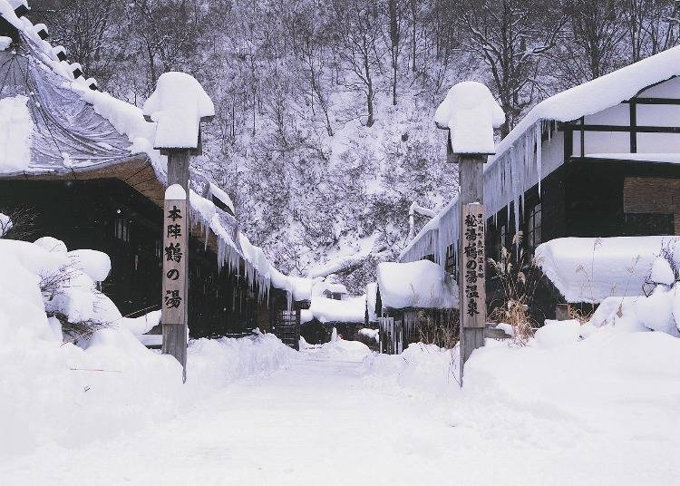 4. 自然橡胶林与赏雪露天浴池「乳头温泉」（秋田）