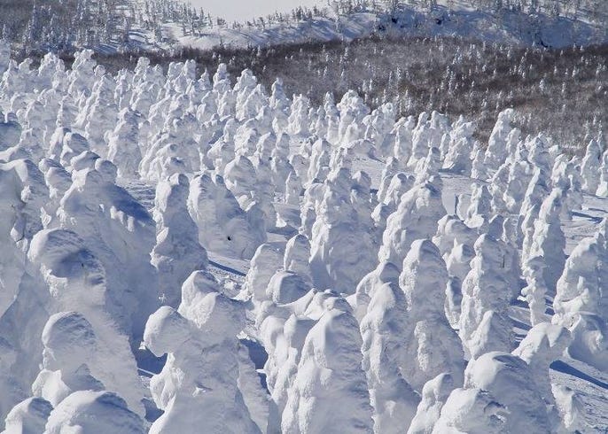 雪の回廊に氷瀑も 冬の青森でやっておきたい10のこと Live Japan 日本の旅行 観光 体験ガイド