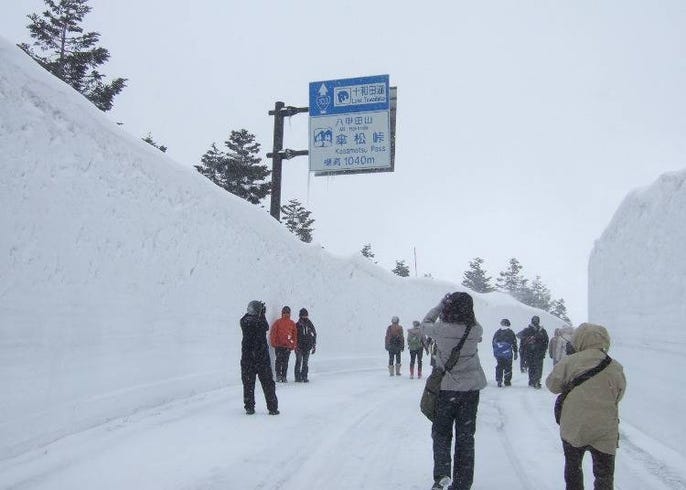 雪の回廊に氷瀑も 冬の青森でやっておきたい10のこと Live Japan 日本の旅行 観光 体験ガイド