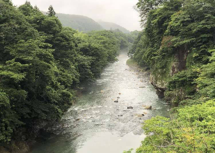 5 Best Things to Do in Akiu Onsen: A Thrilling Spa Day-Trip From Sendai