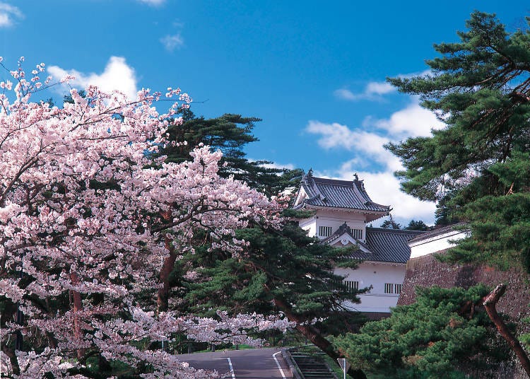 Recommended sightseeing spots in Sendai in April