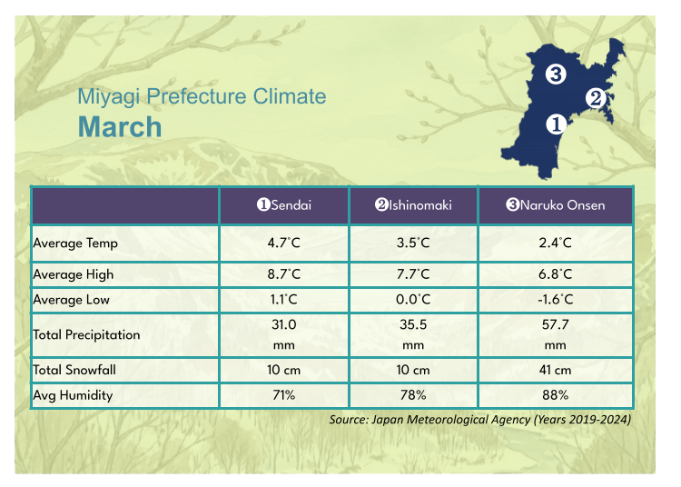 Recommended Sightseeing Spots and Sample Itinerary in Sendai for March