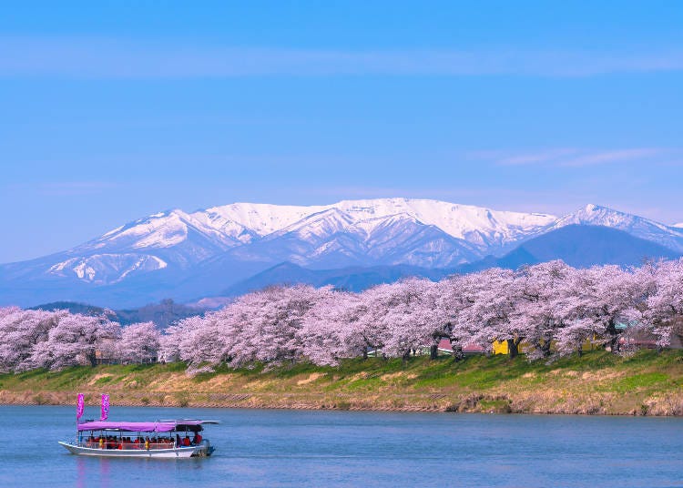 照片來源:LIVE JAPAN站內文章a3000299