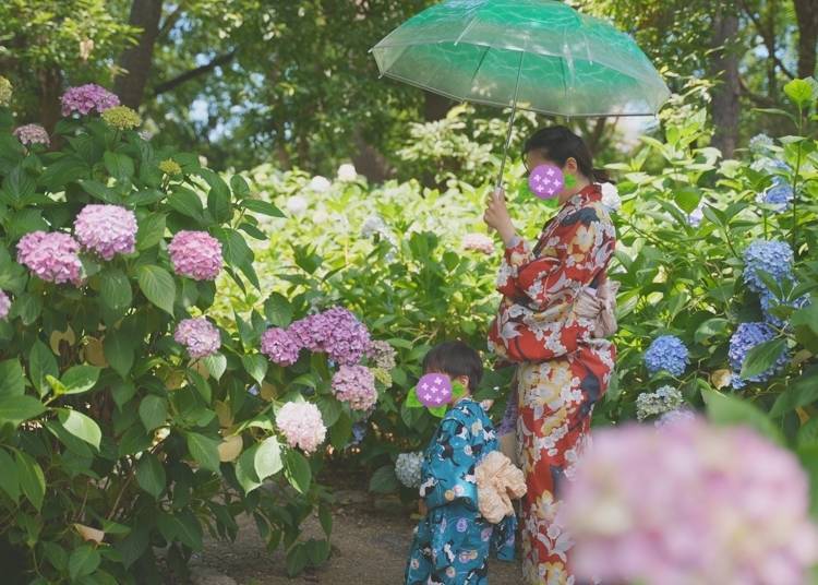 仙台自由行必看！夏季6月、7月、8月的天氣資訊+在日小編服裝穿搭建議