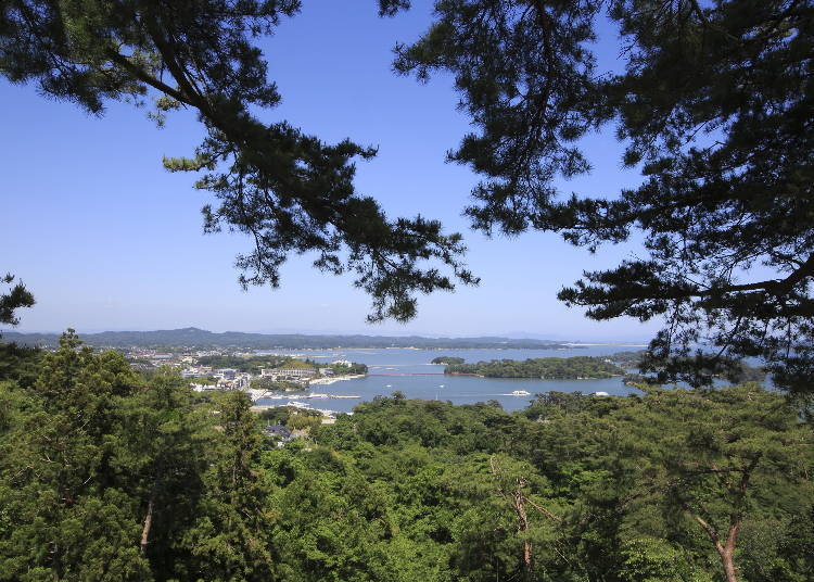 照片來源：LIVE JAPAN站內照片a3000200