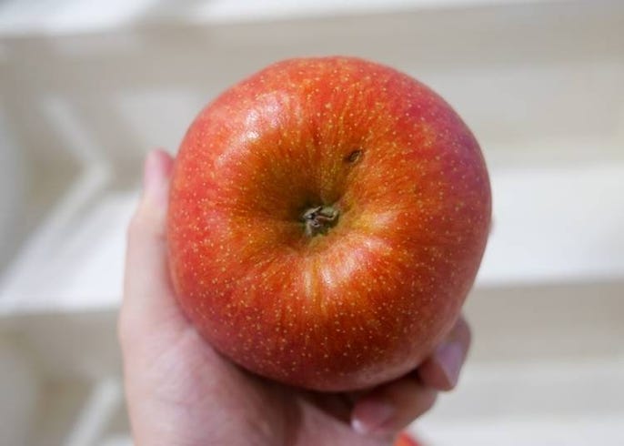 りんごアイドルが教える 日本産りんごの特徴や種類 皮のむき方 おすすめ料理などを一挙公開 Live Japan 日本の旅行 観光 体験ガイド