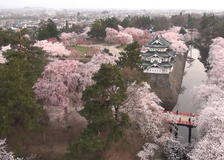 Hirosaki Park and Hirosaki Castle Tower as seen from above (Photo courtesy of Hirosaki City)