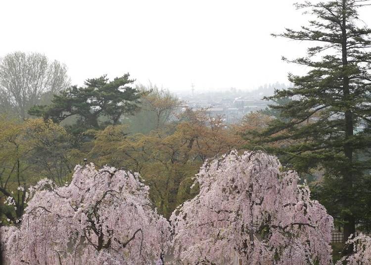 Overlook Hirosaki City from any angle