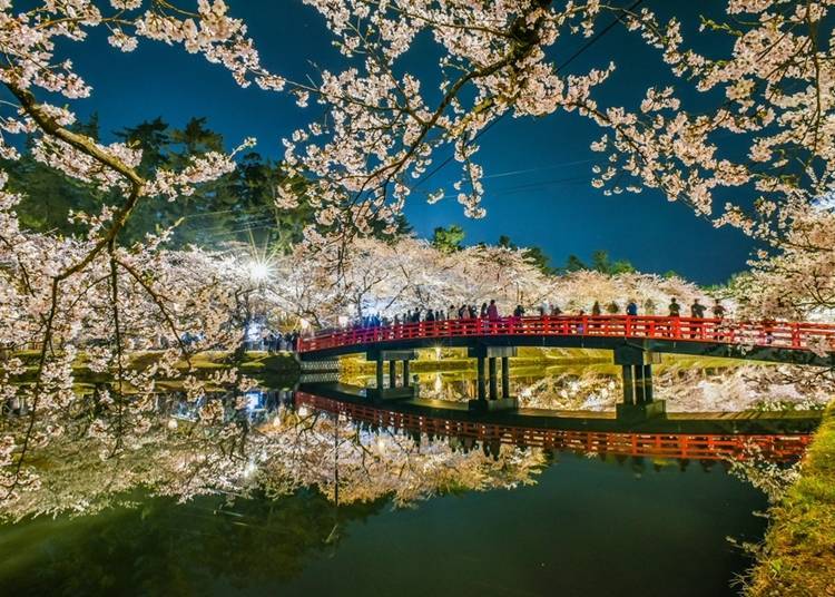 Sakura and Shunyo-bashi Bridge, reflected in the water
