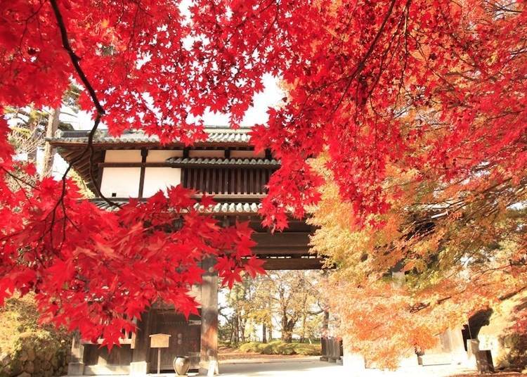 The Inner South Gate surrounded by autumn leaves