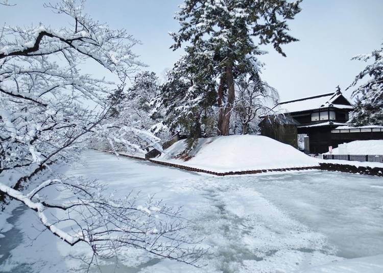 A frozen outer moat and Otemon Gate