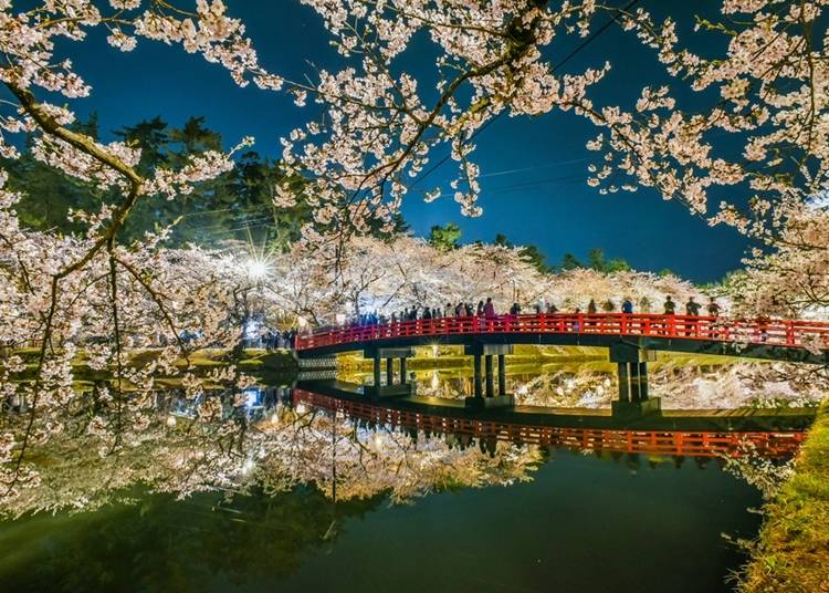 水鏡に映る桜と春陽橋