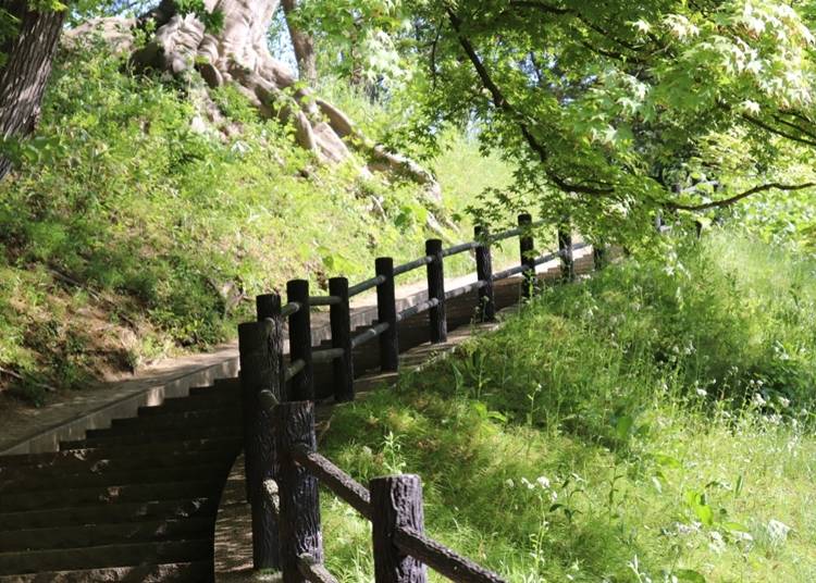 日陰が多く夏でも快適な散策が楽しめる