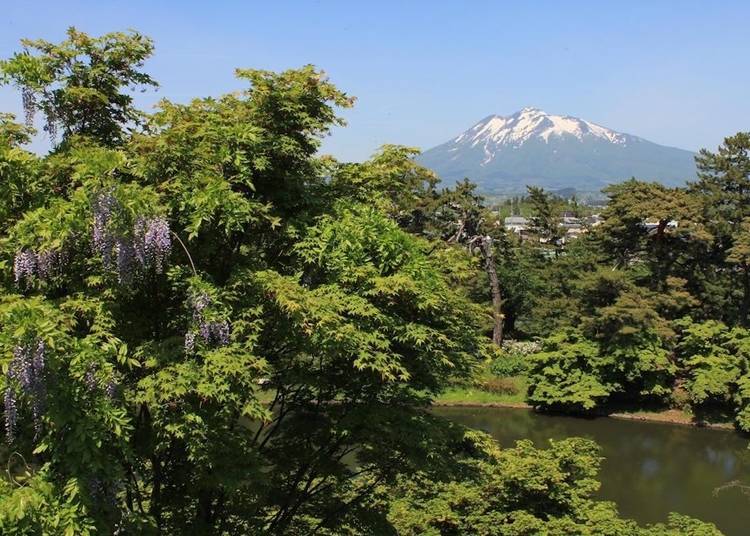 히로사키 공원 혼마루에서 저 멀리 보이는 이와키 산