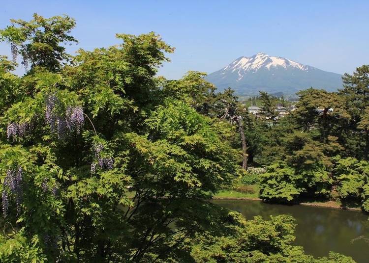 弘前公园中心部望出去的岩木山