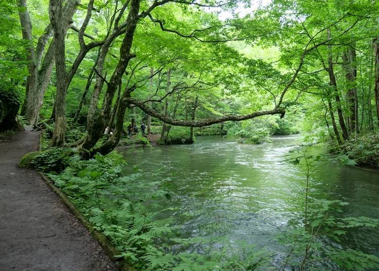 Promenade along the beautiful river