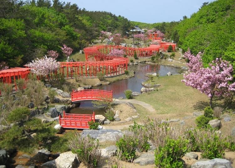 Takayama Inari Shrine with its impressive torii (Photo courtesy of Tsugaru City)