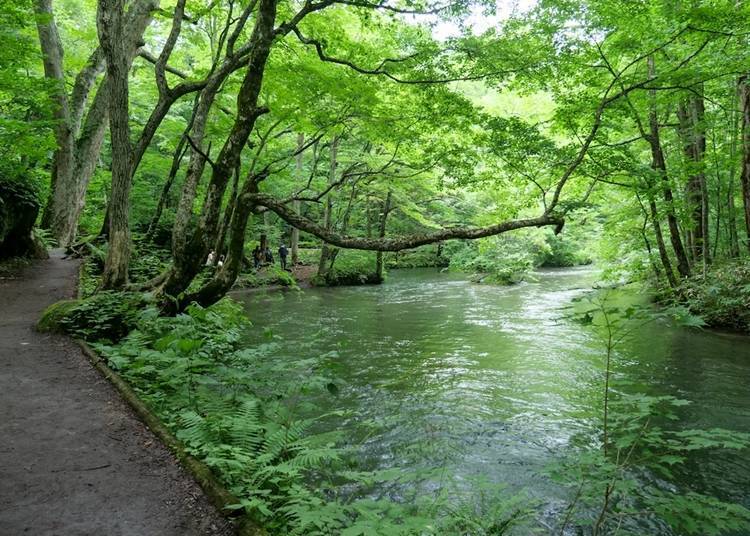 河边步道的美丽风景
