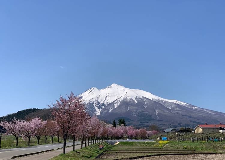 从岩木地区可以看见春天的岩木山