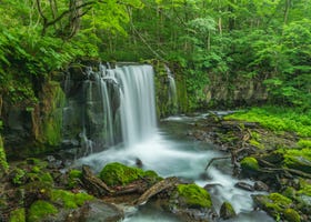 住在當地的外國居民真心推薦！青森必逛精彩景點TOP10