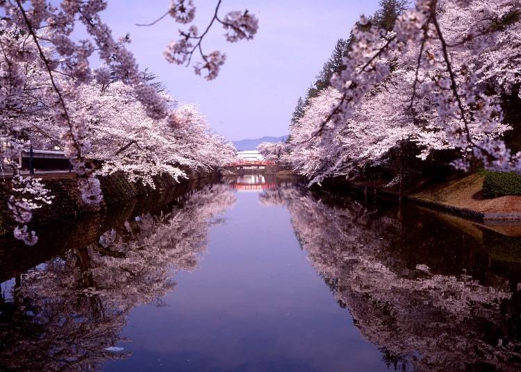 3. Matsugasaki Park (Yonezawa City, Yamagata Prefecture) 
Train: Yamagata Shinkansen Tsubasa (Yonezawa Station)