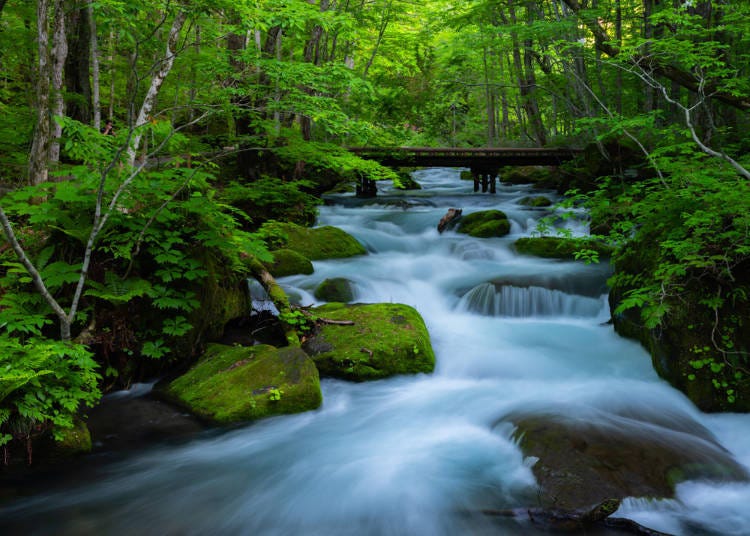 4. Oirase Gorge (Towada City, Aomori Prefecture) 
Train: Tohoku Shinkansen Hayabusa (Shichinohe-Towada Station)