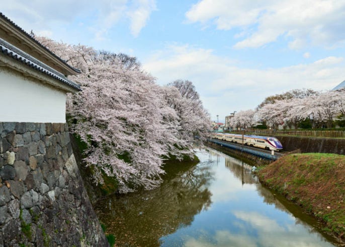 2021年 東北で楽しめる桜まつり10選 今年の開催状況やコロナ対策は live japan 日本の旅行 観光 体験ガイド