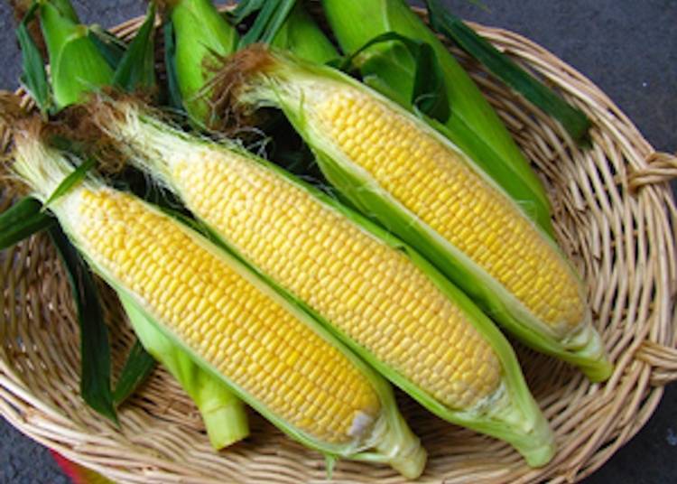 Outstandingly sweet “Dakekimi” corn (Photo courtesy of ANEKKO)