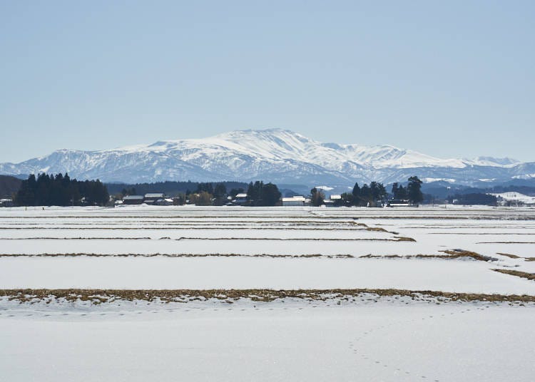 Exclusive Cuisine: Tsuruoka, Yamagata is a Foodie’s Paradise!