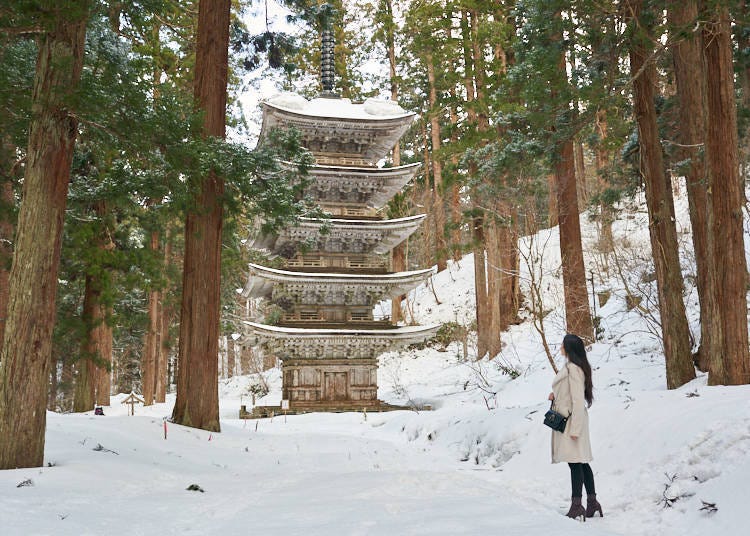 Tastes of the Mountains: The Buddhist cuisine of Dewa Sanzan and the ancient knowledge behind it