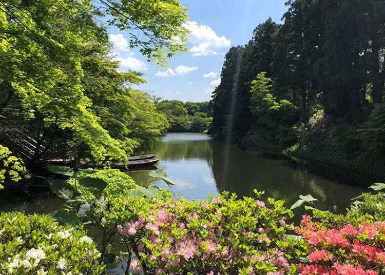거리와 히로사키성의 풍경을 보면서 찾아가는 것도 추천.  사진제공 : 히로사키 공원 종합정보사이트