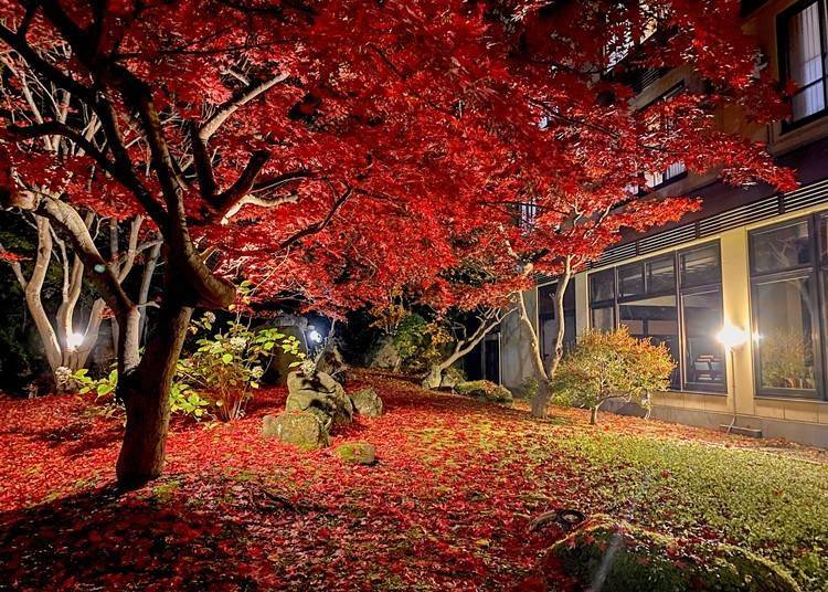 2. Kazen no Sho: A lush garden with large maple leaves (Ochiai Onsen, Kuroishi City)