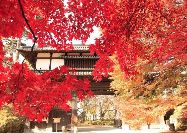 3. Hirosaki Park: A castle town surrounded by gorgeous autumn foliage!