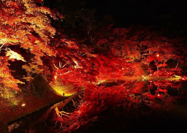 Autumn leaves reflected in the water of the Hirosaki Castle Middle Moat. Photo: Hirosaki City