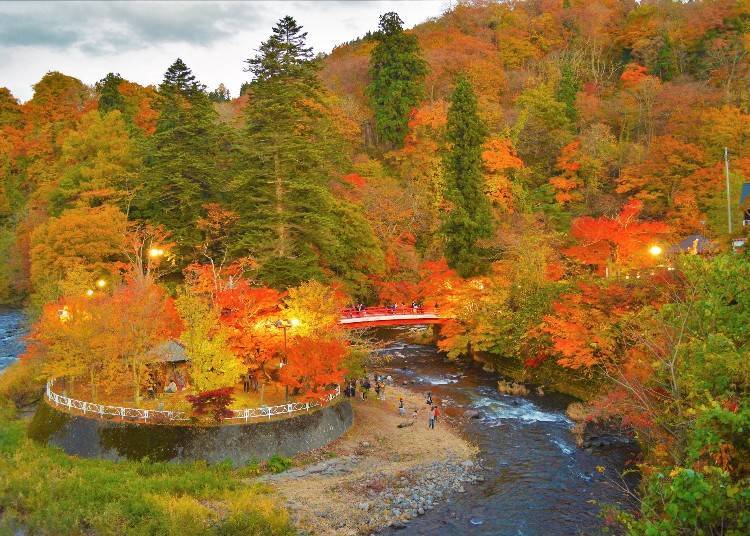 The vermillion bridge and autumn foliage. Photo: PIXTA
