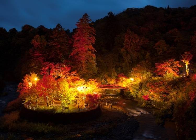 Nakano Momiji-yama lit up at night. Photo: Kuroishi Tourist Association.