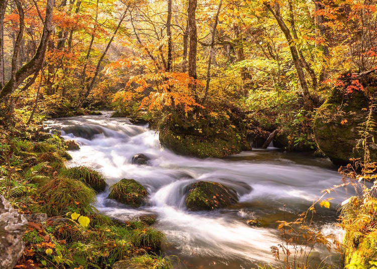 美しい渓流と紅葉のコラボは必見　画像素材：PIXTA