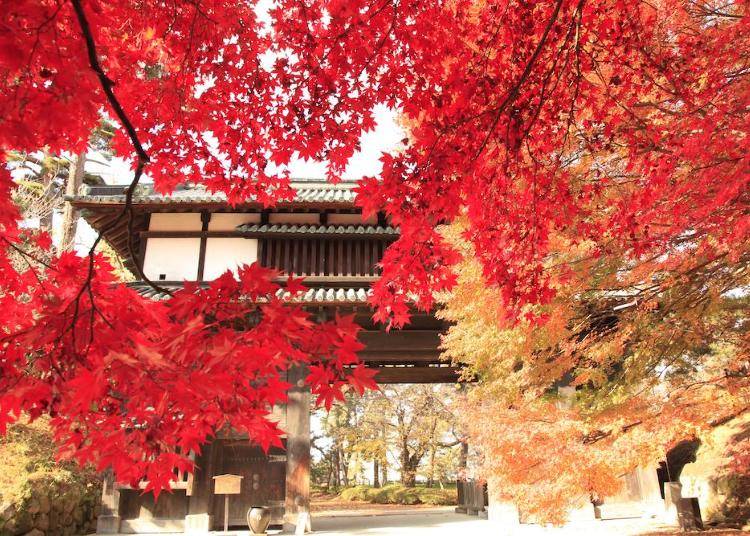 3）城下町らしい建築物と紅葉のコラボ【弘前公園】