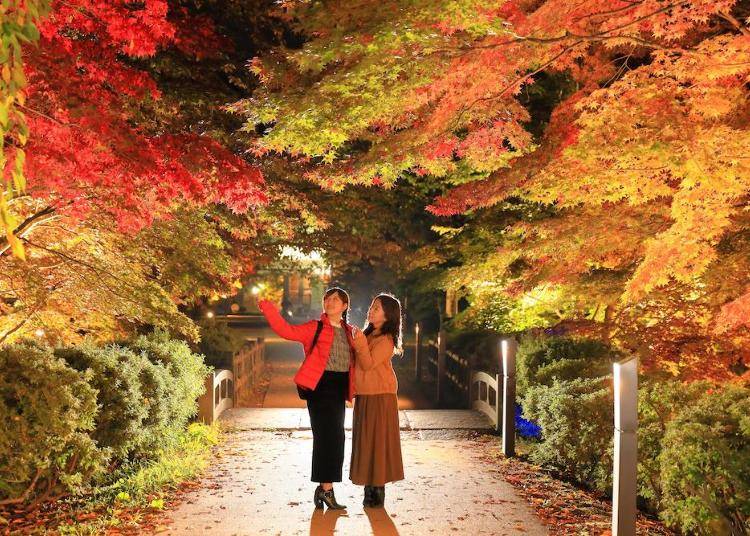 ライトアップされた紅葉を撮る観光客