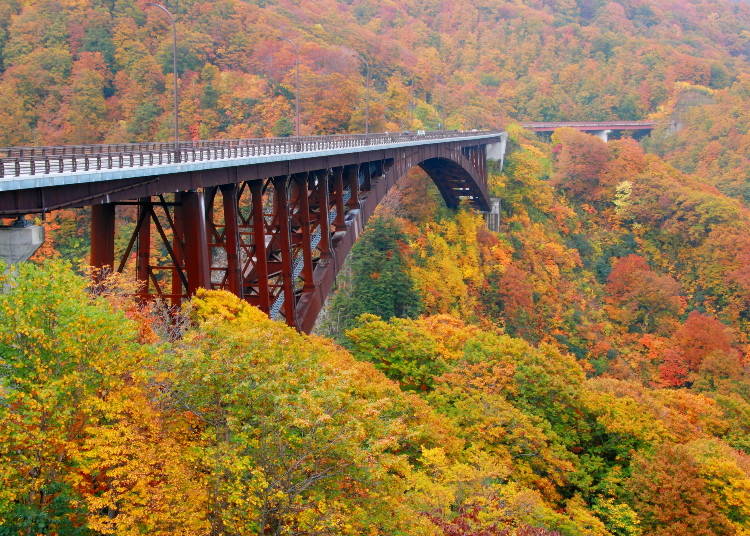 5）大橋から眺める大パノラマの紅葉と渓谷美【城ヶ倉大橋】