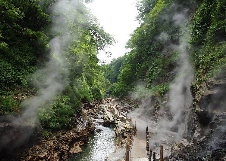 Feel the power of nature by enjoying a view of steam rising from the hot springs! (Image courtesy of: Akita Fun )
