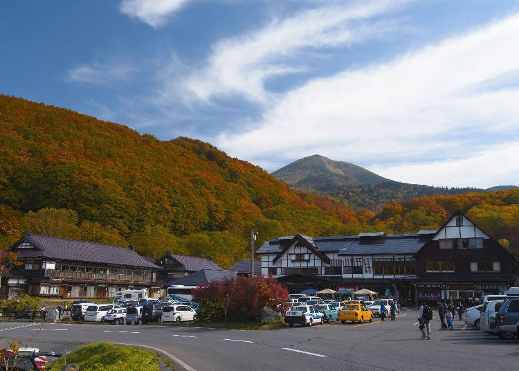 照片提供：青森县观光资讯网站 秋天的美丽红叶
