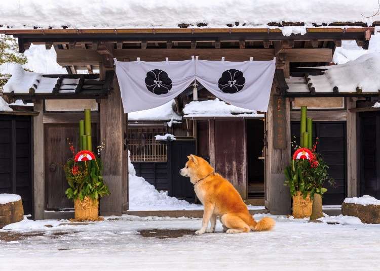 日本東北的懷舊風景！古早小鎮療癒景點5選