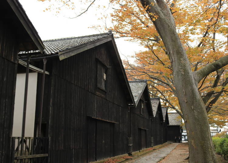 Rows of 150-year-old-plus Japanese zelkova watch over this history of prosperity. Image: Stay Yamagata